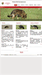 Mobile Screenshot of faehrte.oegv.at